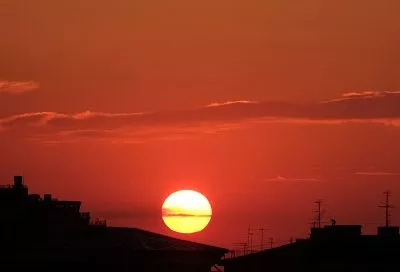 Вильфанд: 2025 год войдет в тройку самых теплых за всю историю наблюдений