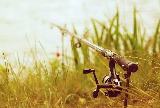 Адская жара с 8 июля: карпы на Кубани жрут, как в последний раз! 10 водоемов (Адыгея, Краснодарский край), где клюет даже у новичков