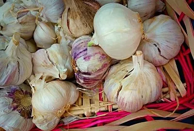 Не трачу деньги на витамины и БАДы, но зато каждый день ем чеснок. С ним стала гораздо лучше себя чувствовать и реже болеть зимой