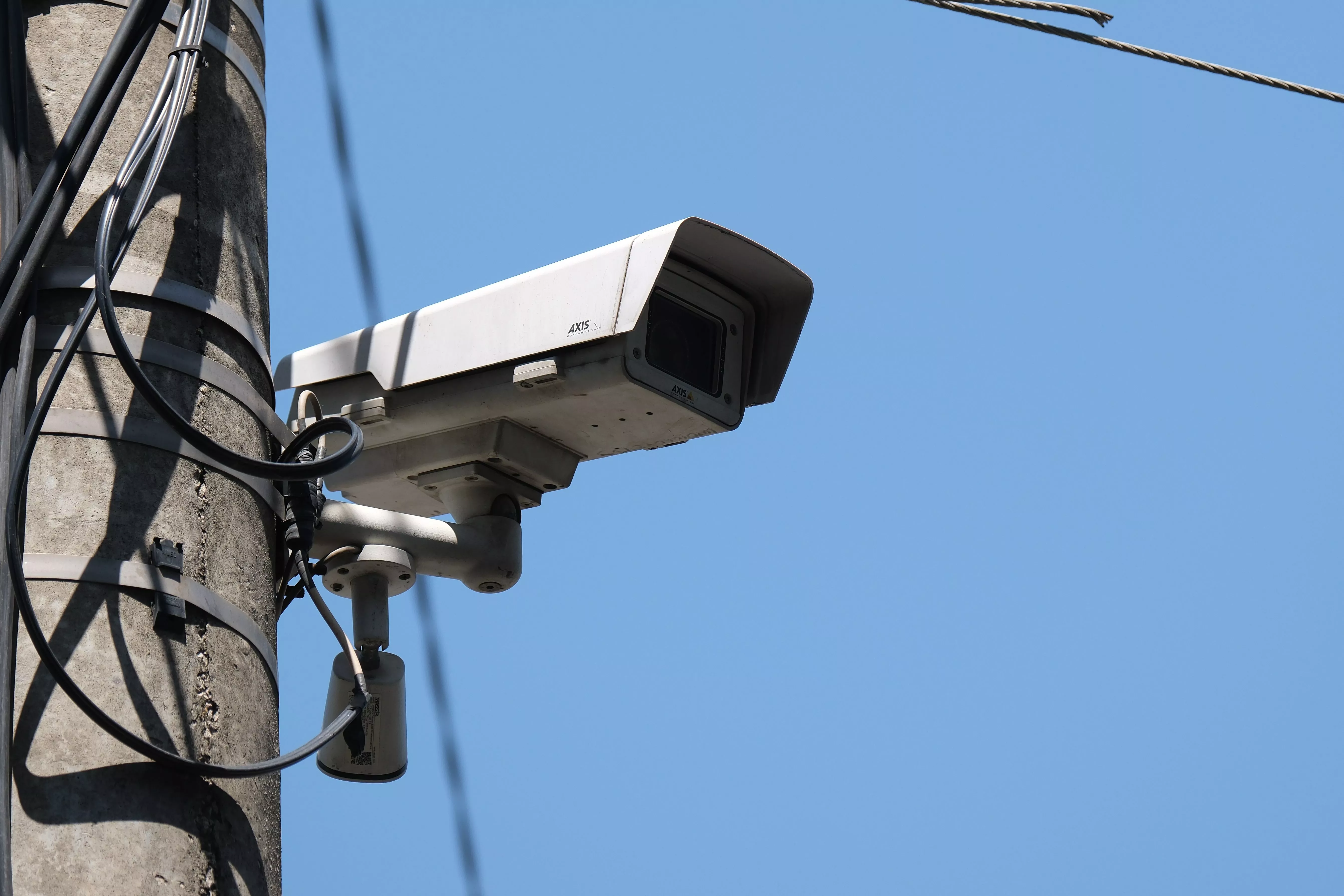 Кубань вошла в число регионов, где применяют отечественную ИИ-систему для поиска пропавших людей и преступников