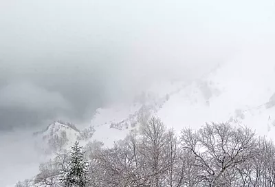 Стало известно, какая высота снега в горах под Сочи