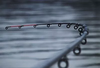 Фидер на леща и карпа: секреты прикормки и тактика ловли по Сабанееву