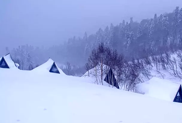 Сугробы снова прибавили: какая высота снега в горах под Сочи