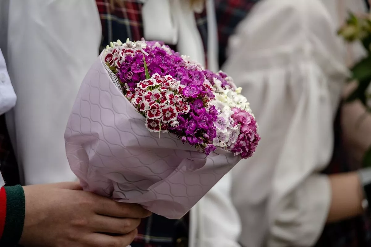Новый рекорд города: В Геленджике 100 выпускников получили медали
