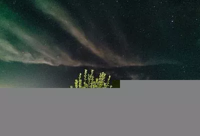 Звездопад апреля: понаблюдать за метеорным потоком Лириды скоро смогут жители России