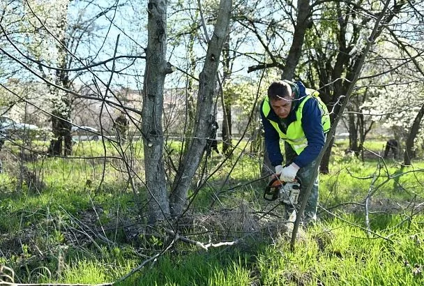 Общегородской субботник пройдет в Краснодаре ко Дню города 