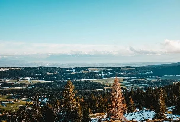 Пропавшие в тайге Усольцевы: эксперты назвали три возможные версии