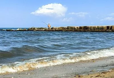 «Будет один пиленгас»: академик РАН рассказал о промысловых запасах Азовского моря