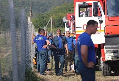 39 гектаров достигла площадь лесного пожара в Геленджике