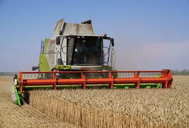 Сила – в кооперации, будущее – в модернизации: аграрии Приморско-Ахтарского округа держат курс на результат