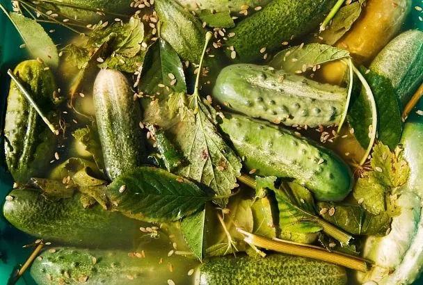 Такие маринованные огурцы станут вашим фирменным рецептом