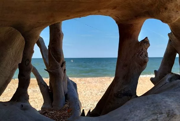 40% опрошенных кубанцев несколько раз в год путешествуют по родному региону 