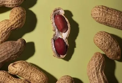 Узнал, когда сажать арахис в открытый грунт, и потираю руки от предчувствия: орехов будет на целую фабрику