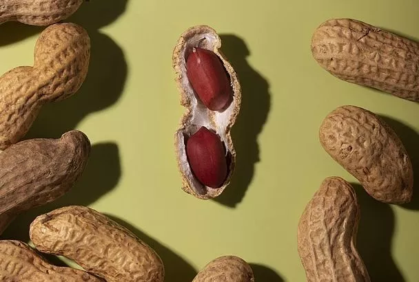 Узнал, когда сажать арахис в открытый грунт, и потираю руки от предчувствия: орехов будет на целую фабрику