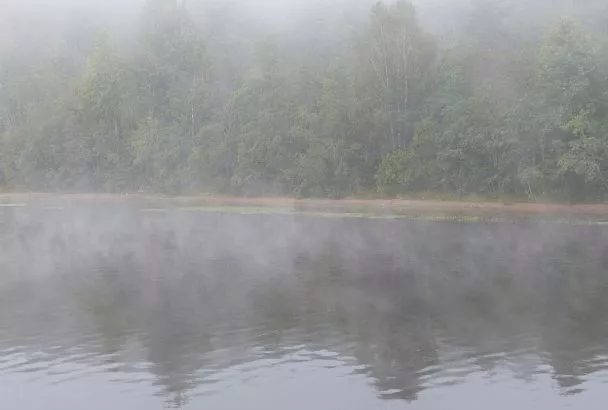 Народные приметы на сегодня – 1 апреля, что можно и нельзя делать в день Дарьи Грязной