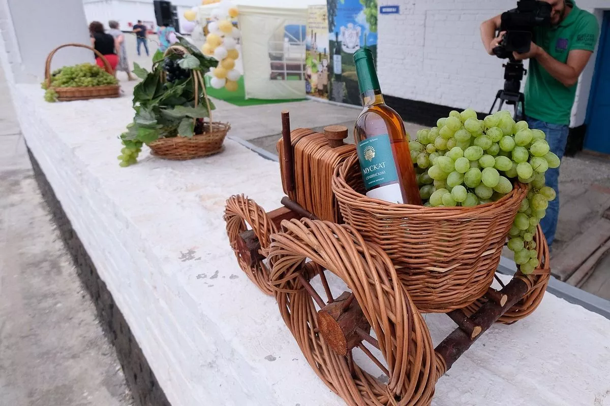 ЗАО «Славпром» - современное виноградарское и винодельческое предприятие