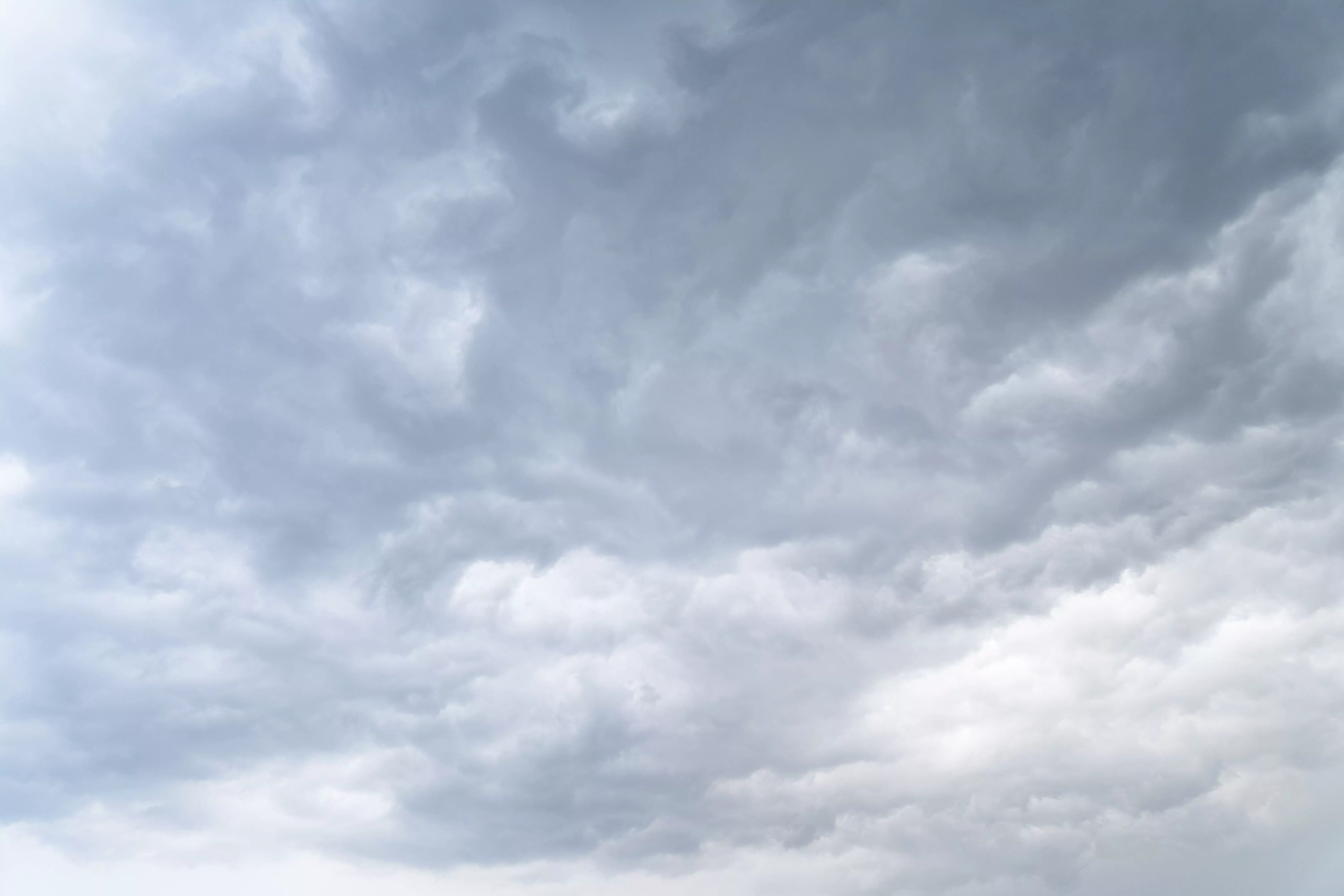 Сильный дождь и ветер с порывами до 25 м/c спрогнозировали на Кубани в ближайшие дни