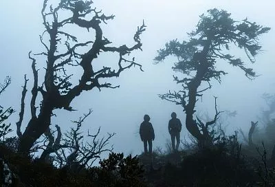 Konami планирует ежегодный выпуск новых игр серии Silent Hill