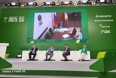 Кубань преодолела миллионный рубеж по сбору зерна: жатва идет полным ходом