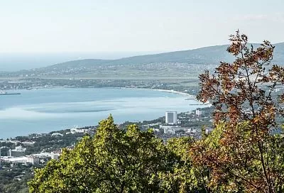 В Геленджике строят дендропарк