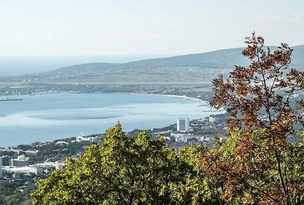 В Геленджике строят дендропарк