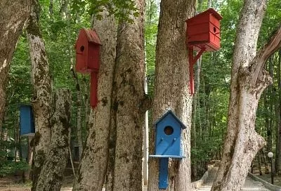 Сочи вошел в топ-3 популярных направлений для отдыха на базах в марте и апреле