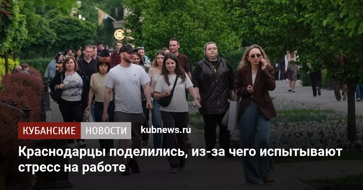 Краснодарцы поделились, из-за чего испытывают стресс на работе