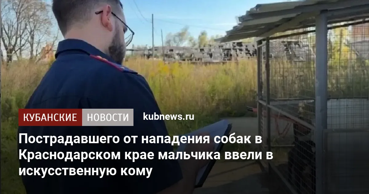 Пострадавшего от нападения собак в Краснодарском крае мальчика ввели в искусственную кому