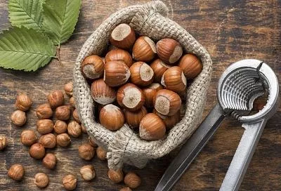 Не так могуч, как кажется: даже орешнику для хорошей жизни нужны удобрения 