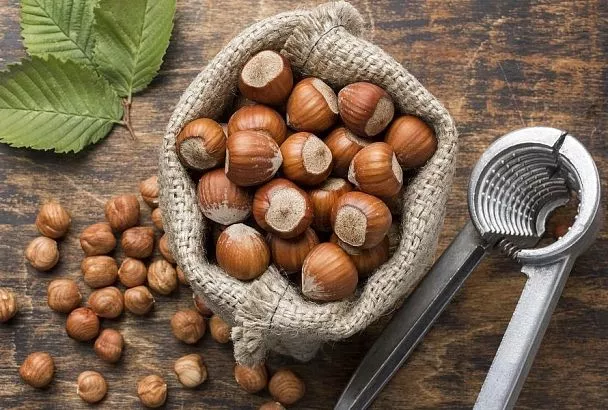 Не так могуч, как кажется: даже орешнику для хорошей жизни нужны удобрения 