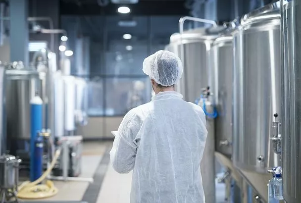 В Краснодарском крае разрабатывают новое оборудование для пищевой промышленности