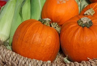 Тыквенный мармелад на любой вкус: 3 загустителя для нужного вам результата