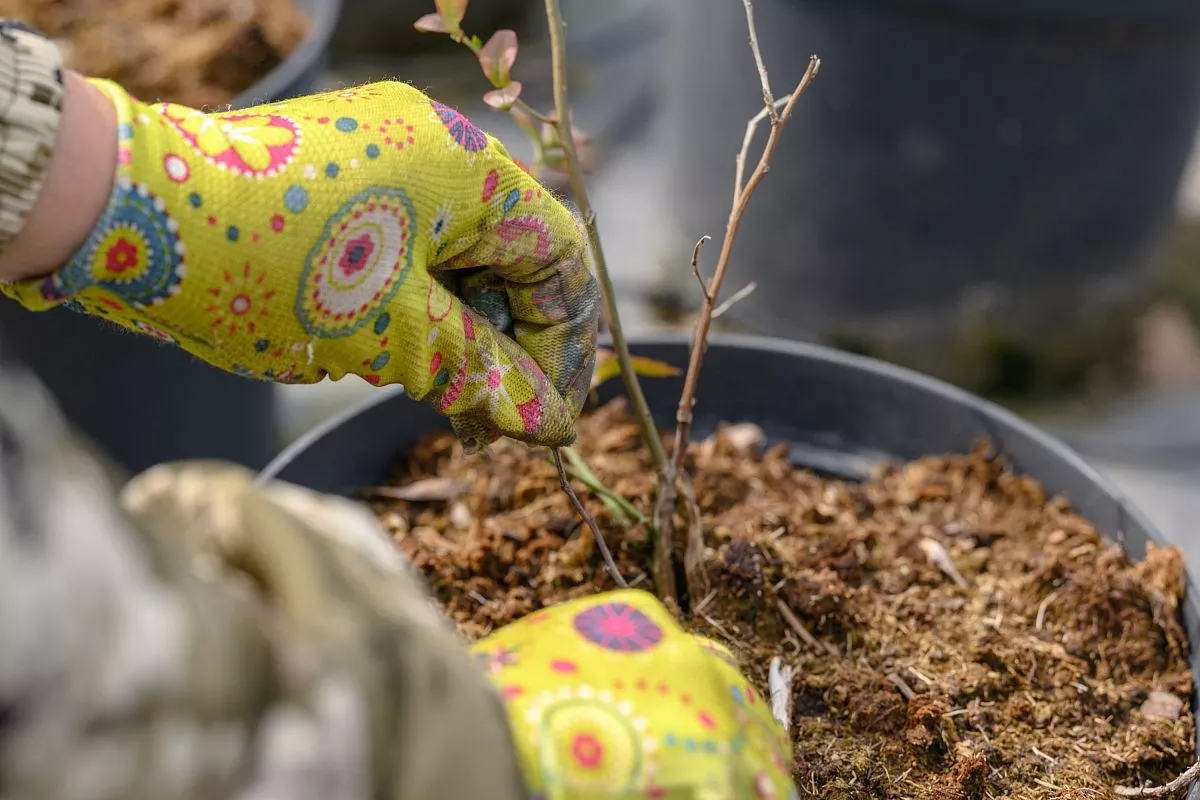 Работа в КФХ есть круглый год: после сбора урожая начинается подготовка почвы к закладке новых участков, наведение порядка на всей территории, прополка травы и многое другое. Работа в КФХ есть круглый год: после сбора урожая начинается подготовка почвы к закладке новых участков, наведение порядка на всей территории, прополка травы и многое другое.