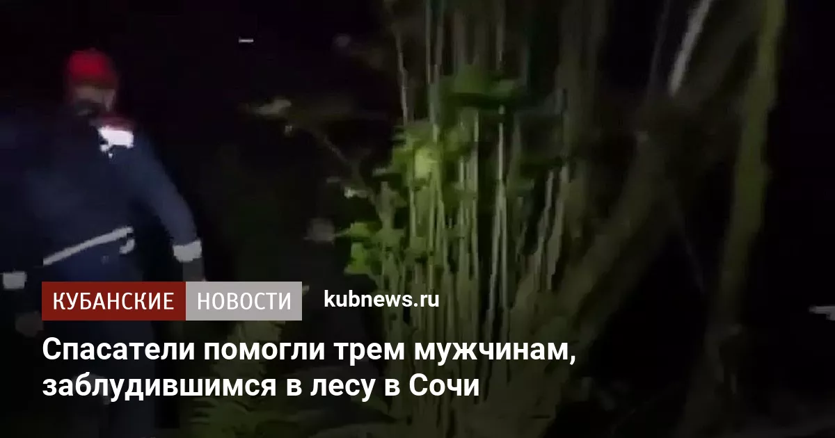 Спасатели помогли трем мужчинам, заблудившимся в лесу в Сочи