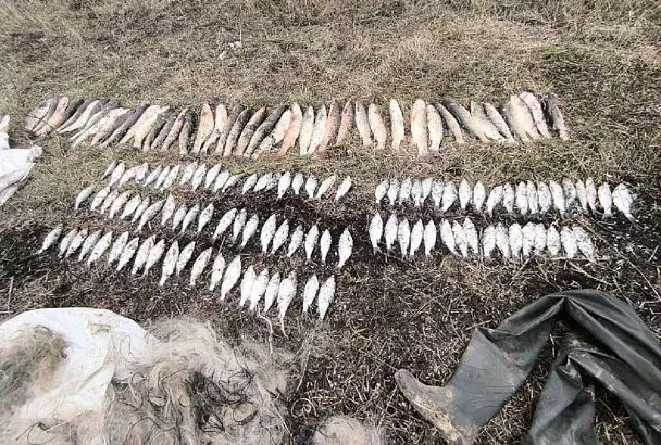Браконьер с уловом на 150 тыс. рублей задержан в Ейском лимане