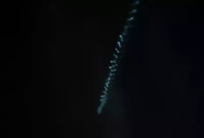 ПВО уничтожила за ночь 25 беспилотников ВСУ над двумя регионами России