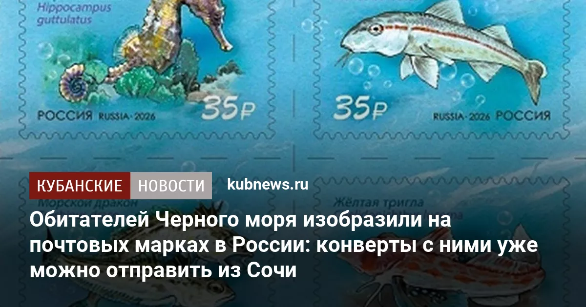Обитателей Черного моря изобразили на почтовых марках в России: конверты с ними уже можно отправить из Сочи