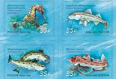 Обитателей Черного моря изобразили на почтовых марках в России: конверты с ними уже можно отправить из Сочи