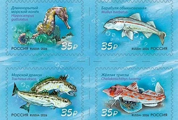 Обитателей Черного моря изобразили на почтовых марках в России: конверты с ними уже можно отправить из Сочи