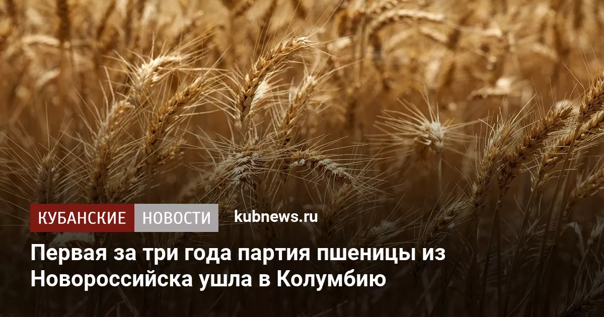 Первая за три года партия пшеницы из Новороссийска ушла в Колумбию