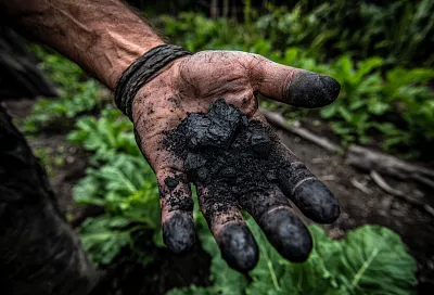 Размягчить тяжёлую почву без навоза и затрат: уголь, компост и секретный ингредиент 