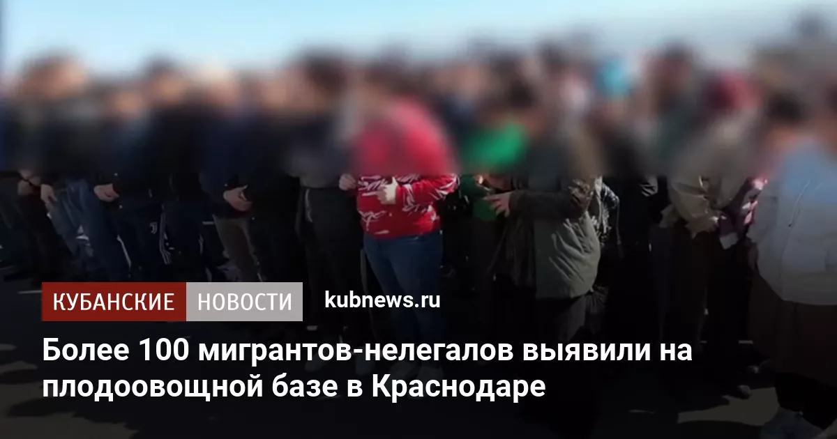 Более 100 мигрантов-нелегалов выявили на плодоовощной базе в Краснодаре