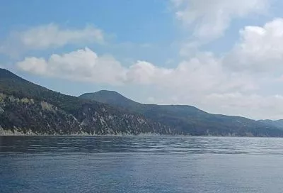 В Геленджике потушили лесные пожары