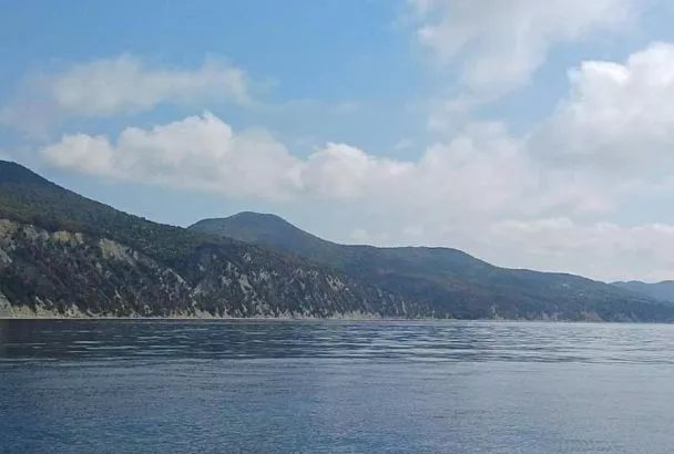 В Геленджике потушили лесные пожары