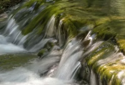 Река Убин разлилась в Северском районе: подтоплены два СНТ