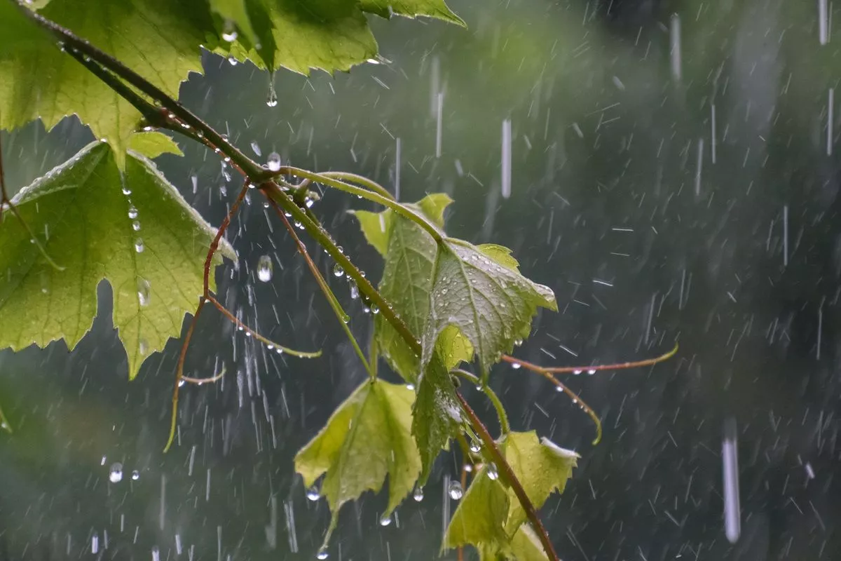 Гидрометцентр России назвал причину грядущей непогоды в Краснодарском крае