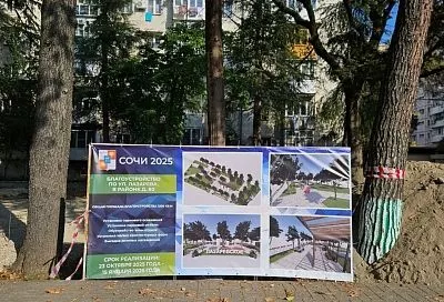 Новый сквер откроют в Сочи в январе 2026 года