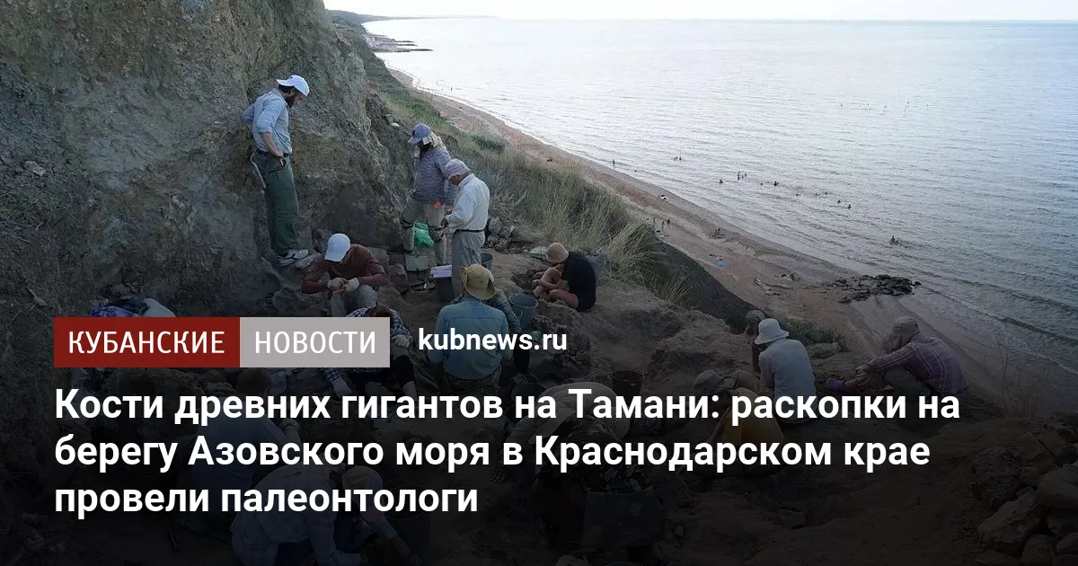 Кости древних гигантов на Тамани: раскопки на берегу Азовского моря в Краснодарском крае провели палеонтологи