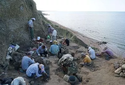 Кости древних гигантов на Тамани: раскопки на берегу Азовского моря в Краснодарском крае провели палеонтологи