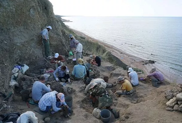 Кости древних гигантов на Тамани: раскопки на берегу Азовского моря в Краснодарском крае провели палеонтологи